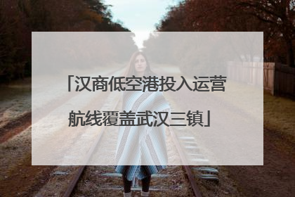 汉商低空港投入运营 航线覆盖武汉三镇
